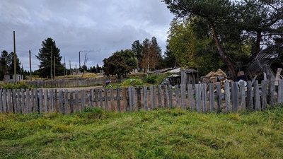 Деревенский участок за серым штакетником: поленница, сарай, сосны у дороги