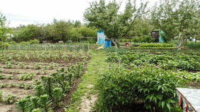 Огород с дорожками между грядками — проём, в который машина должна войти