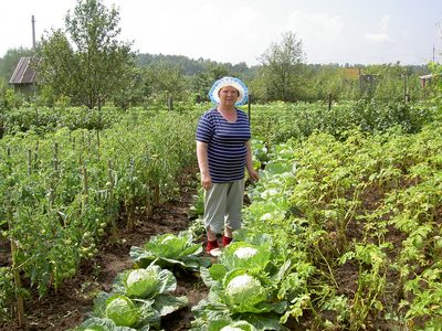 Хозяйка стоит между грядок капусты и томатов